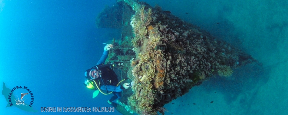 06-kassandra-halkidiki-triton-shipwreck-03-logo
