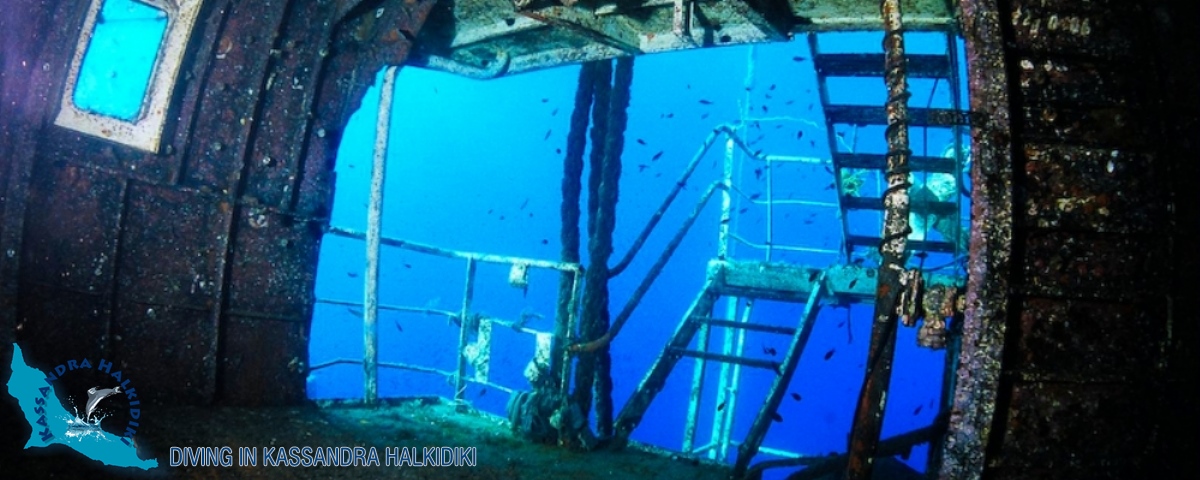 08-kassandra-halkidiki-triton-shipwreck-04-logo