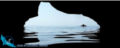 10-kassandra-halkidiki-dive-club-cave-01-logo