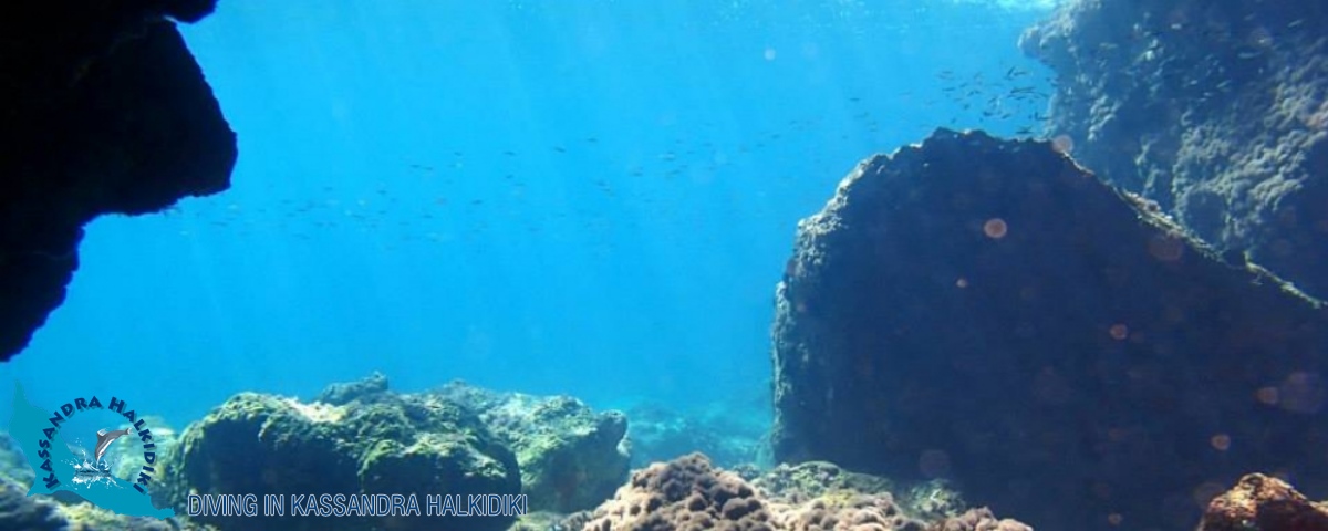 13-kassandra-halkidiki-dive-club-deep-01-logo