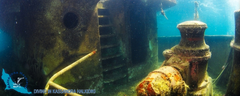 14-kassandra-halkidiki-triton-shipwreck-02-logo