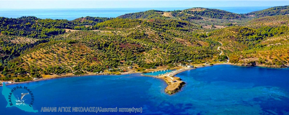 11-paliouri-agios-nikolaos-aero-kanistro-05-850x340_1200x479-logo