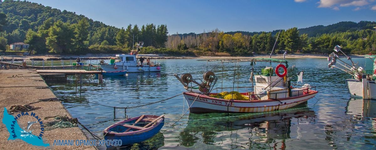 16-paliouri-chrousso-nikon2014-07194-850x340_1200x480-logo