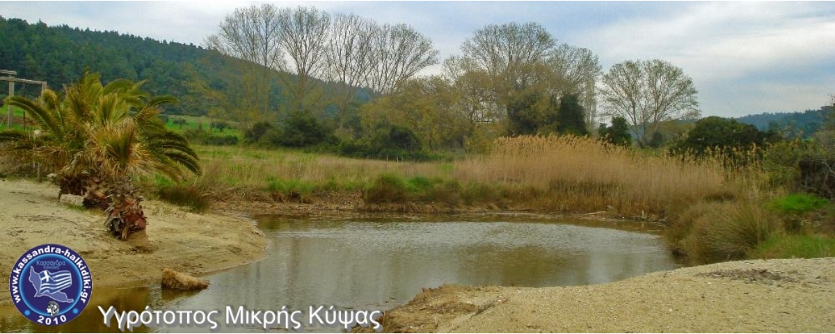 kypsa-mikri-sony-dsc05859