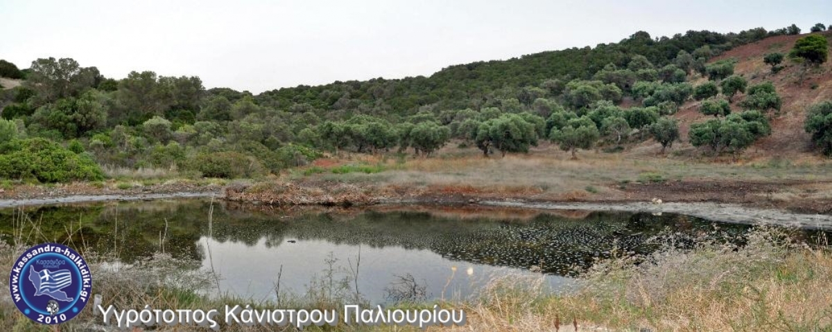 paliouri-kanistro-nikon2014-04264