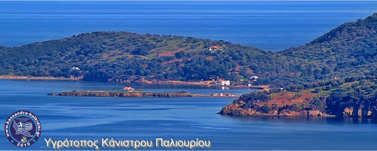 paliouri-kanistro-p3173575