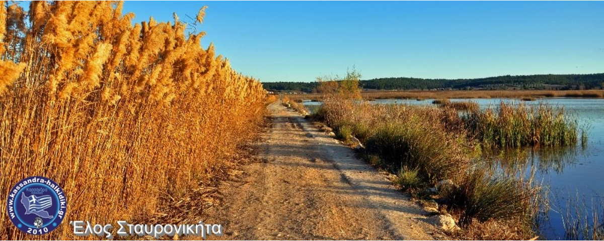 sani-livadaki-limnes-2011-nikon-4918