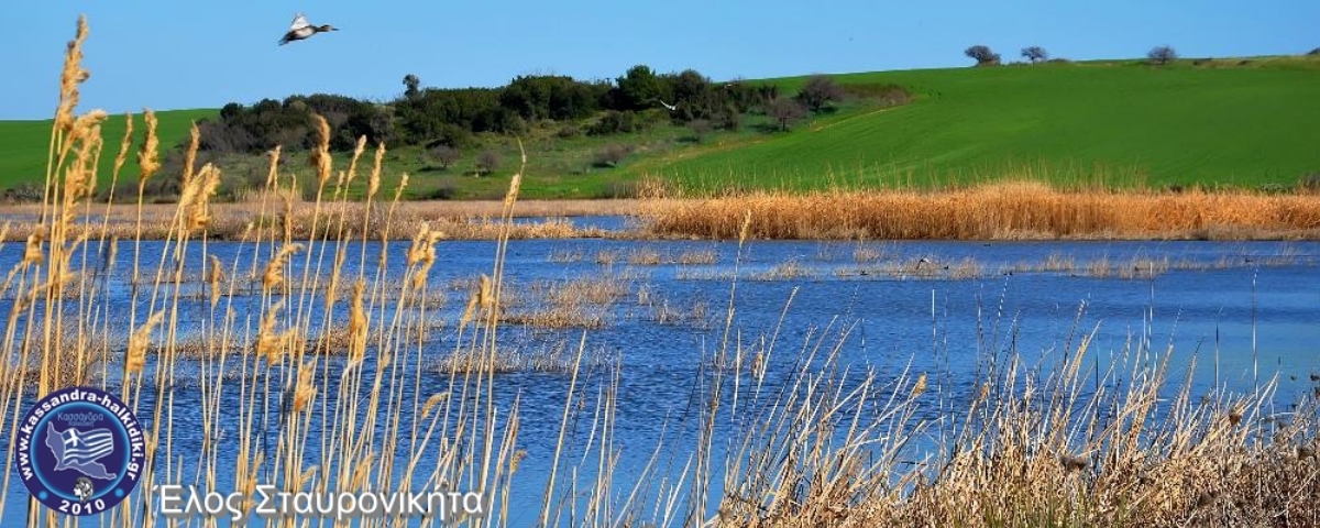 sani-livadaki-limnes-nikon2013-23038