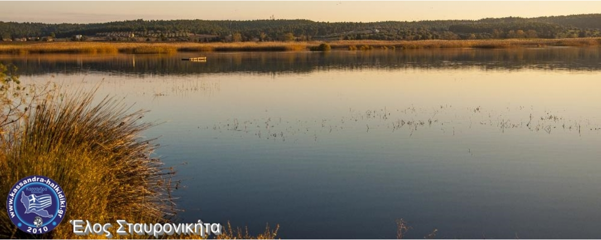 sani-livadaki-limnes-nikon2014-07363